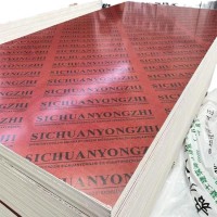 批发工程用木模板胶合板工地红板可定尺寸量大优惠可开票建筑红板  2张
