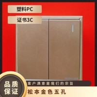松本金色B5系列墙壁插座 磷青铜材质 3C认证 10A电流 1个