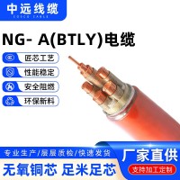 定制电缆NG-A(BTLY)矿物绝缘防火电缆BTTRZ国标低压电缆 厂家批发 5米