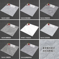 厂家直供批发佛山瓷砖800x800客厅地砖磁砖全瓷通体大理石地板砖  1块