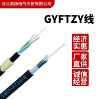 厂家直销GYFTZY光缆非金属阻燃6/12/24芯电力通信变电站室外光缆 1000米