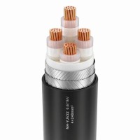NH-YJV22 耐火钢带铠装电缆 0.6/1kV 铜芯 XLPE 绝缘消防工程输配 1000米